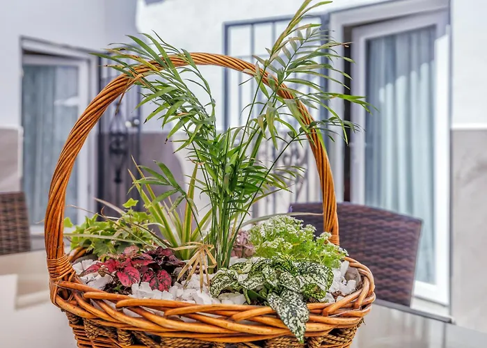 Casa El Califato De Διαμέρισμα Κόρδοβα