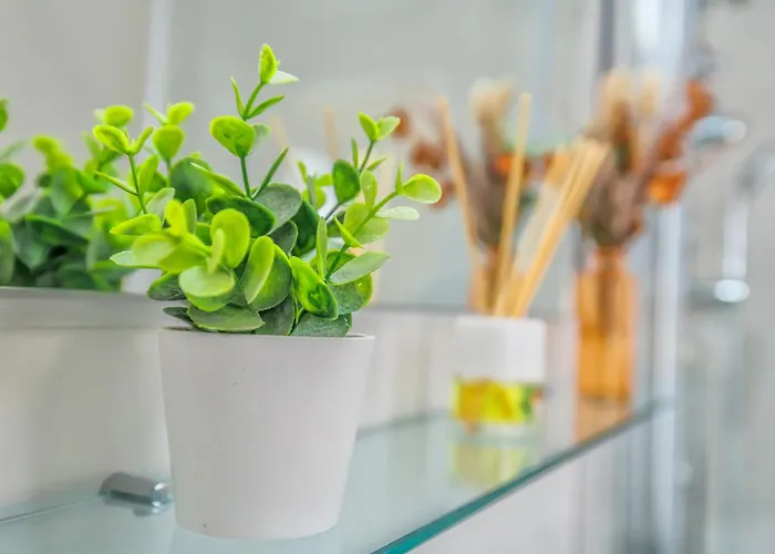 Casa El Califato De Apartment *