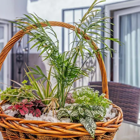 Casa El Califato De Appartement Cordoue